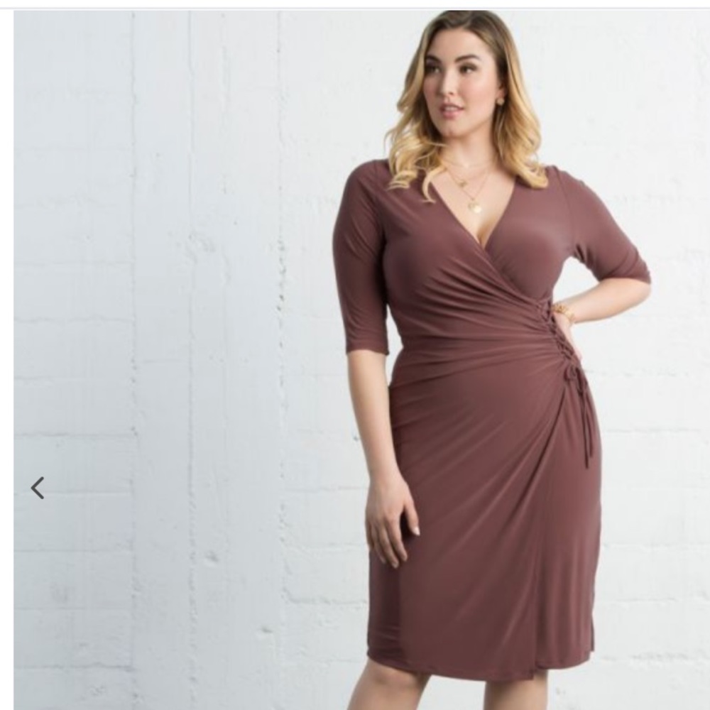 Plus size dusty rose wrap dress
